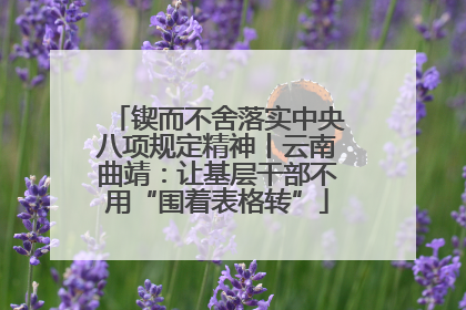 锲而不舍落实中央八项规定精神丨云南曲靖：让基层干部不用“围着表格转”