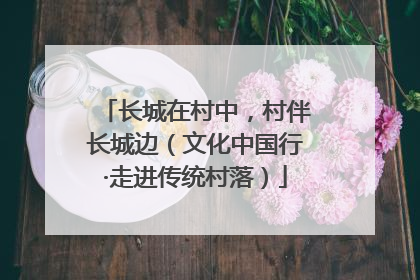 长城在村中，村伴长城边（文化中国行·走进传统村落）