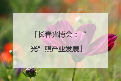 长春光博会：“光”照产业发展