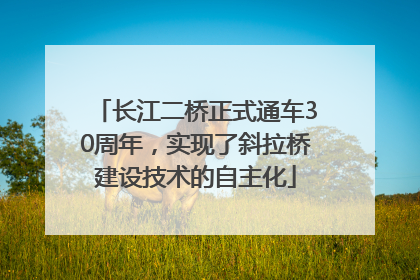 长江二桥正式通车30周年，实现了斜拉桥建设技术的自主化