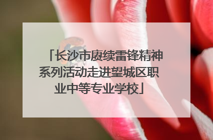 长沙市赓续雷锋精神系列活动走进望城区职业中等专业学校