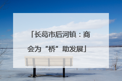 长葛市后河镇：商会为“桥”助发展