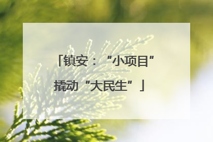 镇安：“小项目”撬动“大民生”