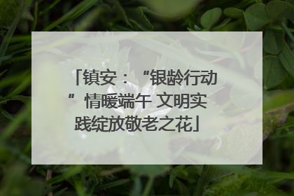 镇安：“银龄行动”情暖端午 文明实践绽放敬老之花