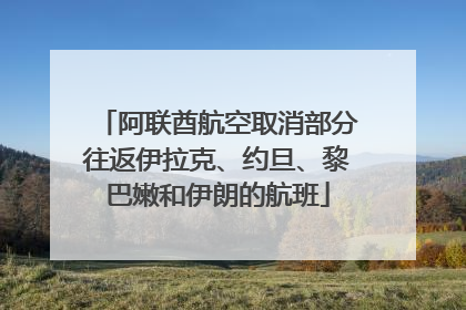 阿联酋航空取消部分往返伊拉克、约旦、黎巴嫩和伊朗的航班