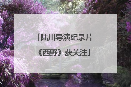 陆川导演纪录片《西野》获关注