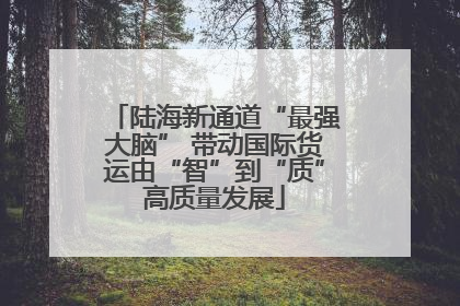 陆海新通道“最强大脑” 带动国际货运由“智”到“质”高质量发展
