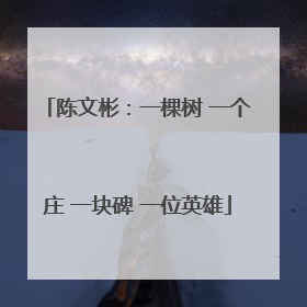 陈文彬：一棵树 一个庄 一块碑 一位英雄