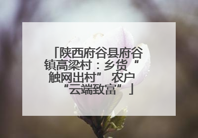 陕西府谷县府谷镇高梁村：乡货“触网出村” 农户“云端致富”