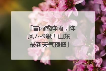 雷雨或阵雨，阵风7~9级！山东最新天气预报