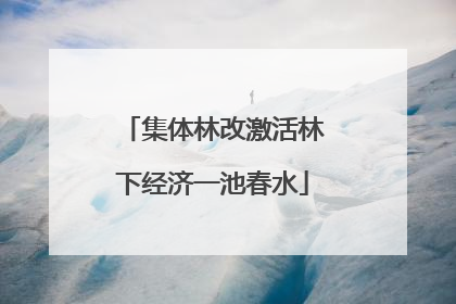 集体林改激活林下经济一池春水