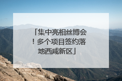 集中亮相丝博会！多个项目签约落地西咸新区