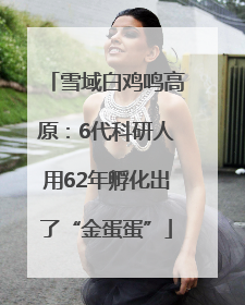 雪域白鸡鸣高原：6代科研人用62年孵化出了“金蛋蛋”