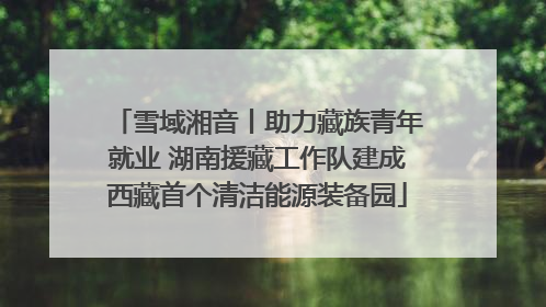 雪域湘音丨助力藏族青年就业 湖南援藏工作队建成西藏首个清洁能源装备园