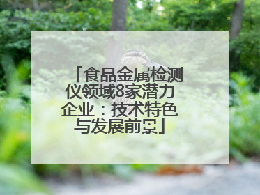 食品金属检测仪领域8家潜力企业：技术特色与发展前景