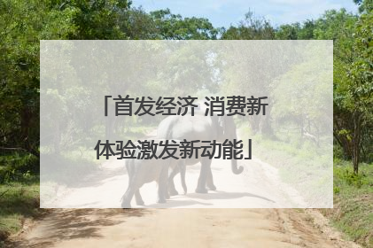 首发经济 消费新体验激发新动能