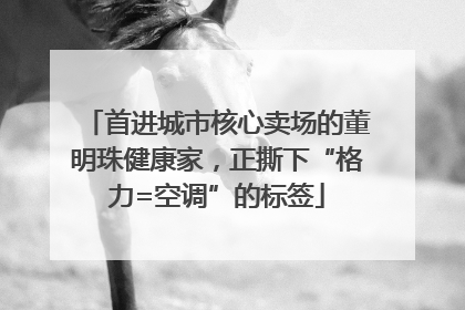 首进城市核心卖场的董明珠健康家，正撕下“格力=空调”的标签