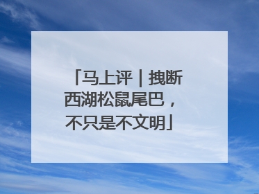 马上评｜拽断西湖松鼠尾巴，不只是不文明