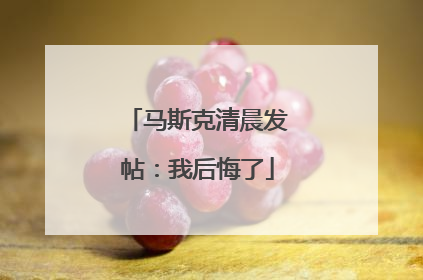 马斯克清晨发帖：我后悔了