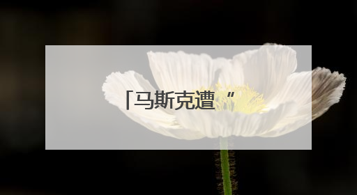 马斯克遭“背刺”！