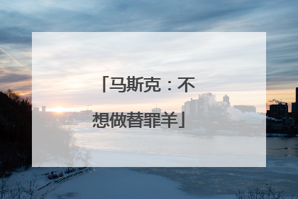 马斯克：不想做替罪羊