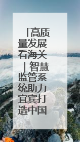 高质量发展看海关｜智慧监管系统助力宜宾打造中国“动力电池之都”