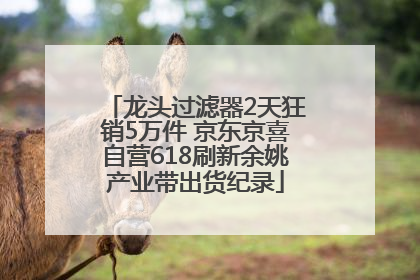 龙头过滤器2天狂销5万件 京东京喜自营618刷新余姚产业带出货纪录