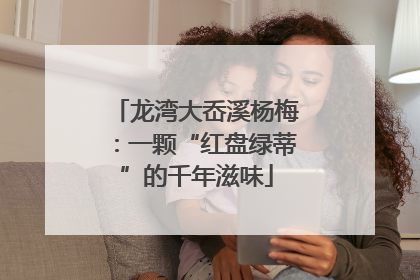 龙湾大岙溪杨梅：一颗“红盘绿蒂”的千年滋味