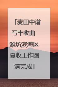 麦田中谱写丰收曲 潍坊滨海区夏收工作圆满完成