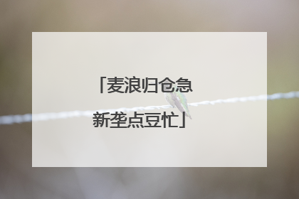 麦浪归仓急 新垄点豆忙