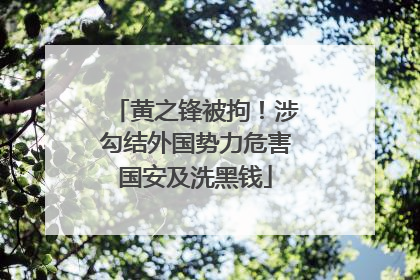 黄之锋被拘！涉勾结外国势力危害国安及洗黑钱