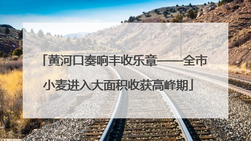 黄河口奏响丰收乐章——全市小麦进入大面积收获高峰期
