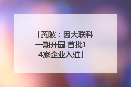 黄陂：因大联科一期开园 首批14家企业入驻