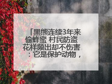 黑熊连续3年来偷蜂蜜 村民防盗花样频出却不伤害：它是保护动物，我有保险兜底