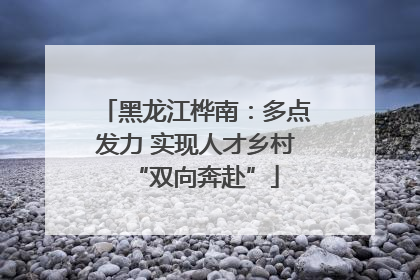 黑龙江桦南：多点发力 实现人才乡村“双向奔赴”