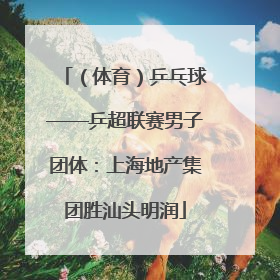 （体育）乒乓球——乒超联赛男子团体：上海地产集团胜汕头明润