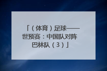 （体育）足球——世预赛：中国队对阵巴林队（3）