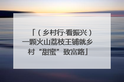（乡村行·看振兴）一颗火山荔枝王铺就乡村“甜蜜”致富路