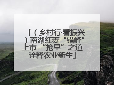 （乡村行·看振兴）南湖红菱“错峰”上市 “抢早”之道诠释农业新生