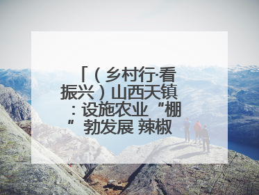 （乡村行·看振兴）山西天镇：设施农业“棚”勃发展 辣椒产业蓄势待发