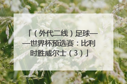 （外代二线）足球——世界杯预选赛：比利时胜威尔士（3）