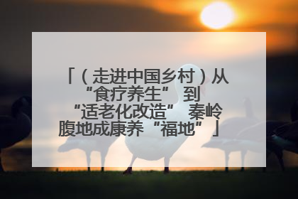 （走进中国乡村）从 “食疗养生” 到 “适老化改造” 秦岭腹地成康养“福地”