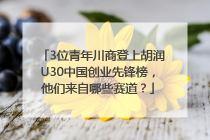3位青年川商登上胡润U30中国创业先锋榜，他们来自哪些赛道？