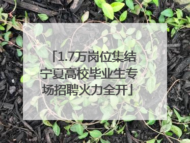 1.7万岗位集结 宁夏高校毕业生专场招聘火力全开