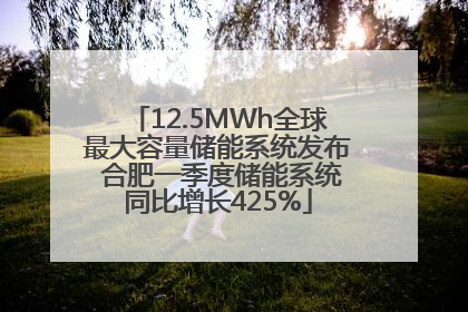 12.5MWh全球最大容量储能系统发布 合肥一季度储能系统同比增长425%