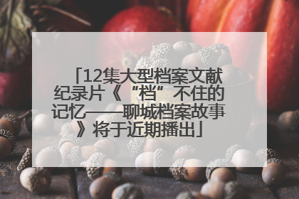 12集大型档案文献纪录片《“档”不住的记忆——聊城档案故事》将于近期播出