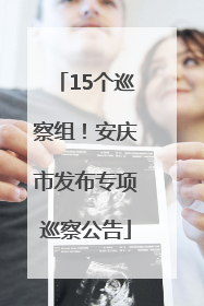 15个巡察组！安庆市发布专项巡察公告