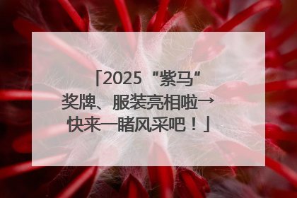 2025“紫马”奖牌、服装亮相啦→快来一睹风采吧！
