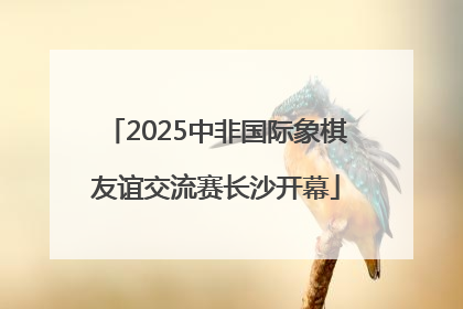 2025中非国际象棋友谊交流赛长沙开幕