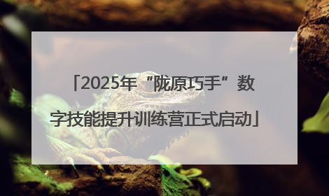 2025年“陇原巧手”数字技能提升训练营正式启动